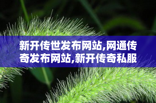 新开传世发布网站,网通传奇发布网站,新开传奇私服发布网站,网通传奇发布网站
