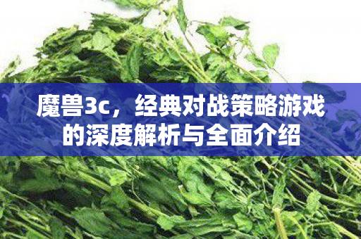 魔兽3c，经典对战策略游戏的深度解析与全面介绍