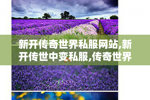 新开传奇世界私服网站,新开传世中变私服,传奇世界sf发布网0,新开传世中变私服