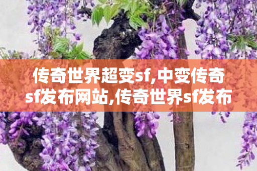 传奇世界超变sf,中变传奇sf发布网站,传奇世界sf发布网新服,中变传奇sf发布网站
