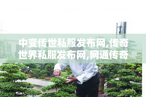 中变传世私服发布网,传奇世界私服发布网,网通传奇sf,传奇世界私服发布网