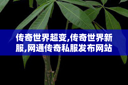 传奇世界超变,传奇世界新服,网通传奇私服发布网站,传奇世界新服