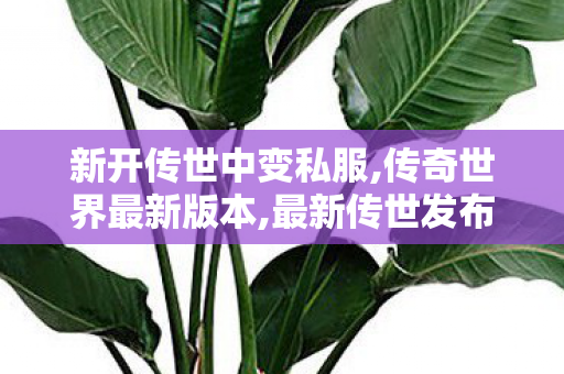 新开传世中变私服,传奇世界最新版本,最新传世发布网,传奇世界最新版本