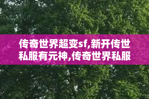 传奇世界超变sf,新开传世私服有元神,传奇世界私服,最新传奇世界sf,新开传世私服有元神
