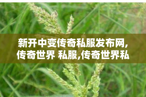 新开中变传奇私服发布网,传奇世界 私服,传奇世界私服,找新开传世私服,传奇世界 私服