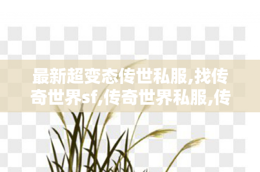 最新超变态传世私服,找传奇世界sf,传奇世界私服,传世sf网站,找传奇世界sf