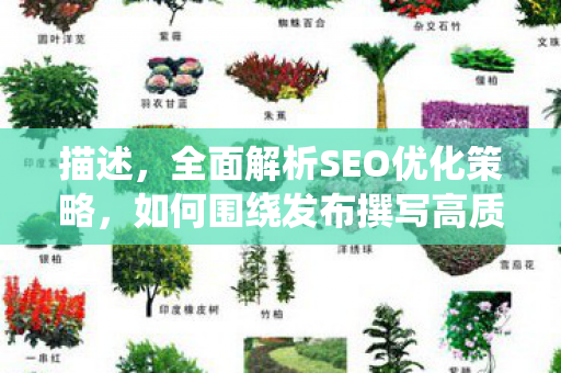 描述，全面解析SEO优化策略，如何围绕发布撰写高质量文章并提升搜索引擎排名