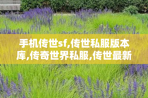 手机传世sf,传世私服版本库,传奇世界私服,传世最新私服,传世私服版本库