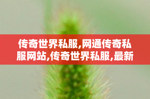 传奇世界私服,网通传奇私服网站,传奇世界私服,最新传世私服,网通传奇私服网站