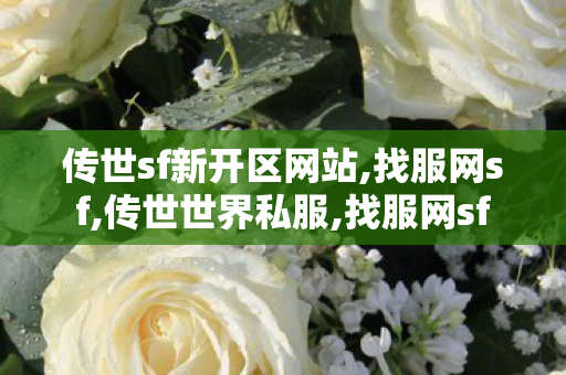 传世sf新开区网站,找服网sf,传世世界私服,找服网sf