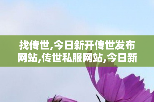 找传世,今日新开传世发布网站,传世私服网站,今日新开传世发布网站