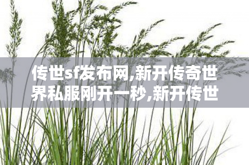 传世sf发布网,新开传奇世界私服刚开一秒,新开传世,新开传奇世界私服刚开一秒