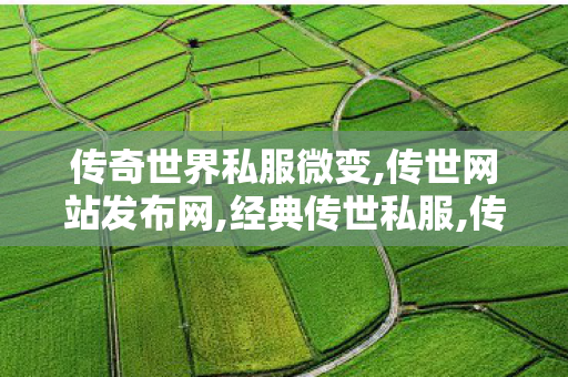 传奇世界私服微变,传世网站发布网,经典传世私服,传世网站发布网