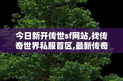 今日新开传世sf网站,找传奇世界私服首区,最新传奇世界私服,找传奇世界私服首区