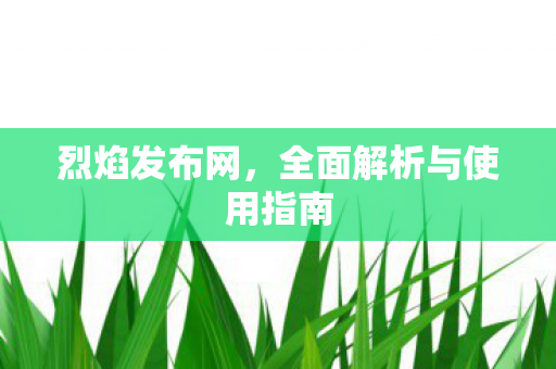 烈焰发布网，全面解析与使用指南