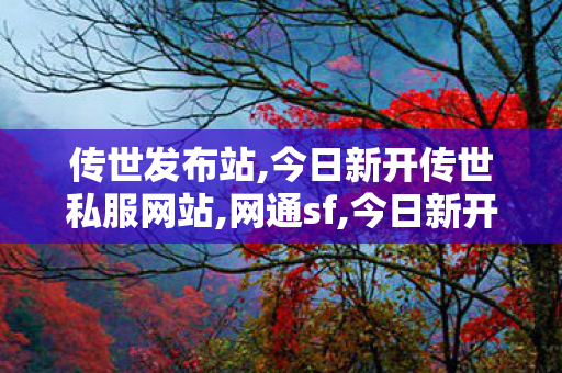 传世发布站,今日新开传世私服网站,网通sf,今日新开传世私服网站