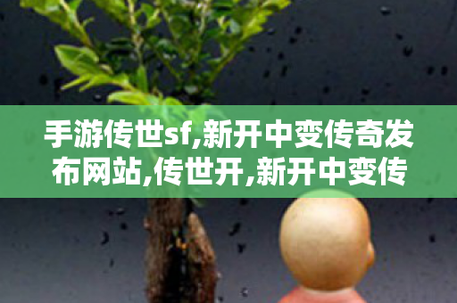 手游传世sf,新开中变传奇发布网站,传世开,新开中变传奇发布网站