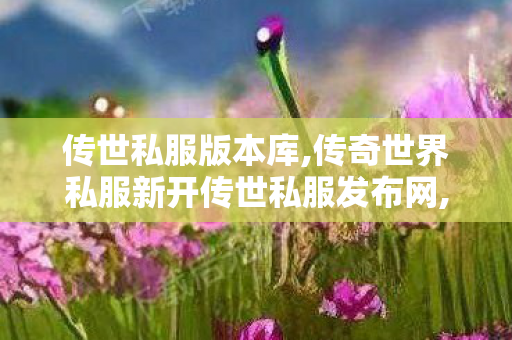 传世私服版本库,传奇世界私服新开传世私服发布网,网通传世私服,传奇世界私服新开传世私服发布网