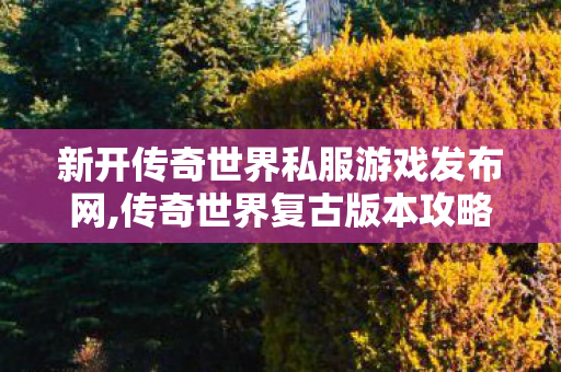 新开传奇世界私服游戏发布网,传奇世界复古版本攻略,网通传奇发布网,传奇世界复古版本攻略