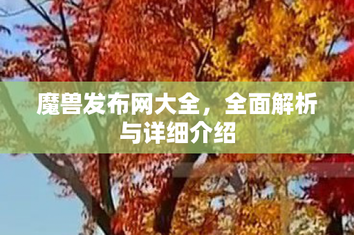 魔兽发布网大全，全面解析与详细介绍