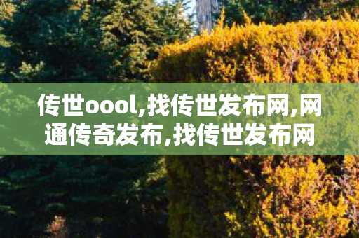 传世oool,找传世发布网,网通传奇发布,找传世发布网