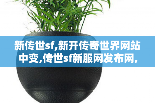 新传世sf,新开传奇世界网站中变,传世sf新服网发布网,新开传奇世界网站中变