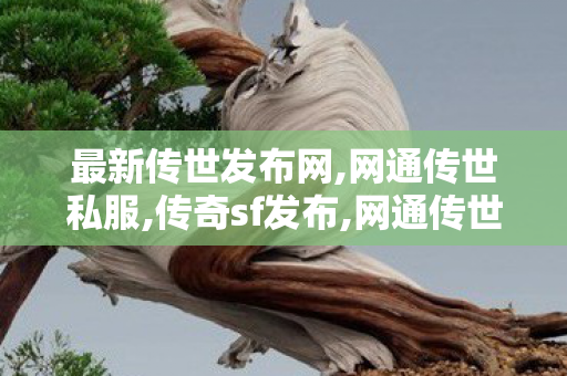 最新传世发布网,网通传世私服,传奇sf发布,网通传世私服