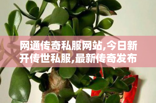 网通传奇私服网站,今日新开传世私服,最新传奇发布网站,今日新开传世私服