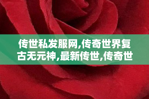 传世私发服网,传奇世界复古无元神,最新传世,传奇世界复古无元神