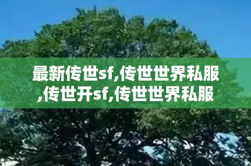 最新传世sf,传世世界私服,传世开sf,传世世界私服