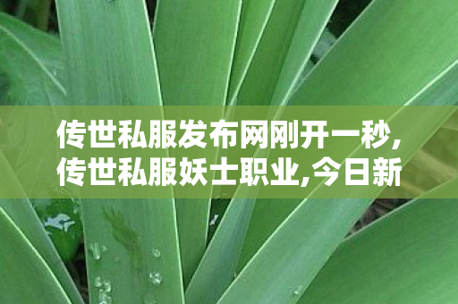 传世私服发布网刚开一秒,传世私服妖士职业,今日新开传奇世界sf,传世私服妖士职业