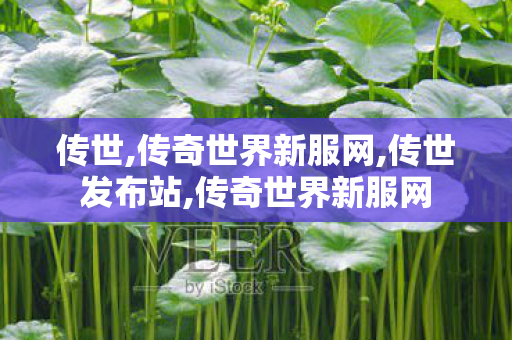 传世,传奇世界新服网,传世发布站,传奇世界新服网