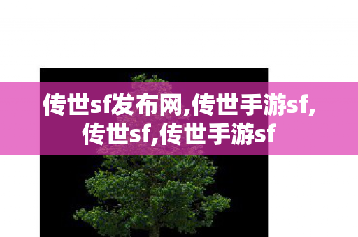 传世sf发布网,传世手游sf,传世sf,传世手游sf