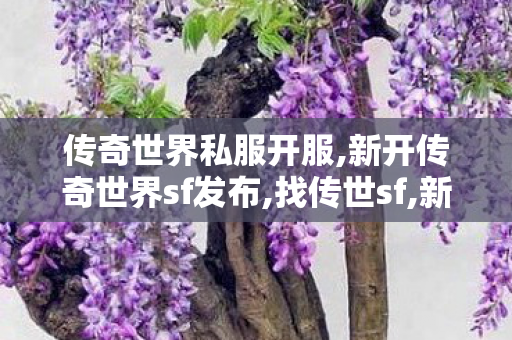 传奇世界私服开服,新开传奇世界sf发布,找传世sf,新开传奇世界sf发布