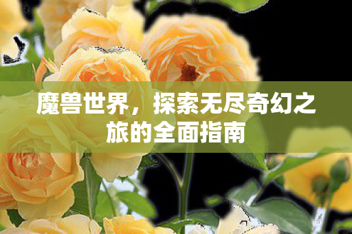 魔兽世界,新开魔兽世界sf,新开魔兽sf,魔兽世界私服发布网站,wowsf发布网
