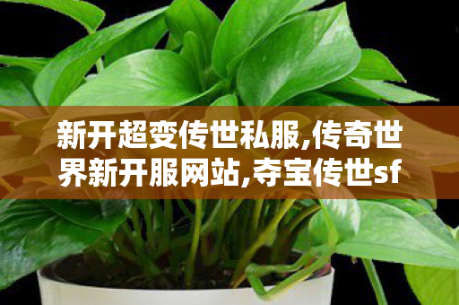新开超变传世私服,传奇世界新开服网站,夺宝传世sf,传奇世界新开服网站