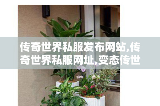 传奇世界私服发布网站,传奇世界私服网址,变态传世sf发布网,传奇世界私服网址