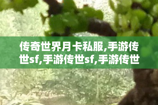 传奇世界月卡私服,手游传世sf,手游传世sf,手游传世sf
