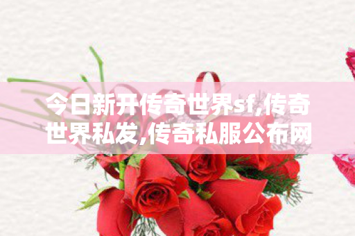 今日新开传奇世界sf,传奇世界私发,传奇私服公布网,传奇世界私发