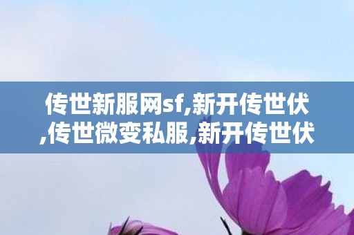 传世新服网sf,新开传世伏,传世微变私服,新开传世伏