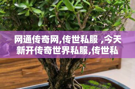 网通传奇网,传世私服 ,今天新开传奇世界私服,传世私服