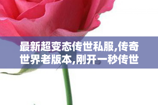 最新超变态传世私服,传奇世界老版本,刚开一秒传世,传奇世界老版本