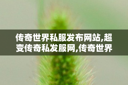 传奇世界私服发布网站,超变传奇私发服网,传奇世界新开服的网站,超变传奇私发服网