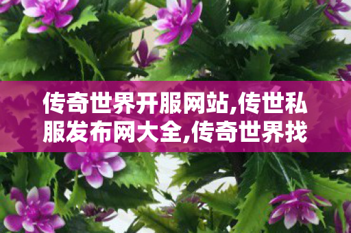 传奇世界开服网站,传世私服发布网大全,传奇世界找服网站,传世私服发布网大全