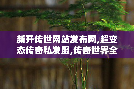 新开传世网站发布网,超变态传奇私发服,传奇世界全新区,超变态传奇私发服
