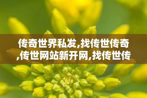 传奇世界私发,找传世传奇,传世网站新开网,找传世传奇