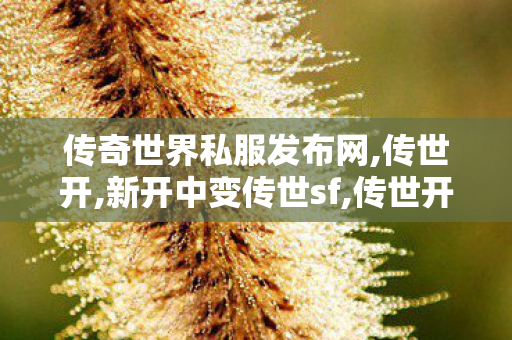 传奇世界私服发布网,传世开,新开中变传世sf,传世开