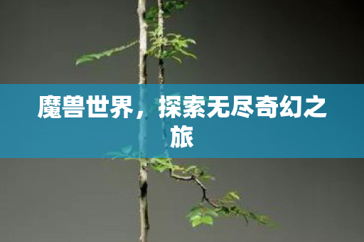 魔兽世界，探索无尽奇幻之旅