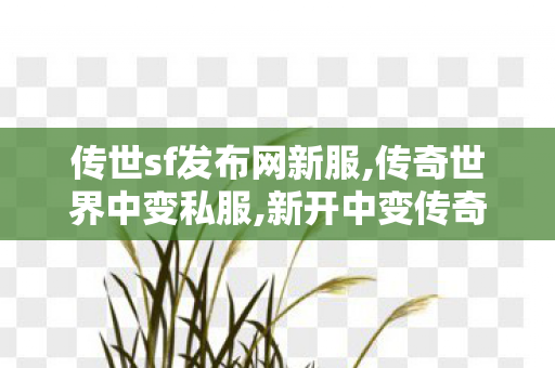 传世sf发布网新服,传奇世界中变私服,新开中变传奇私服发布网,传奇世界中变私服