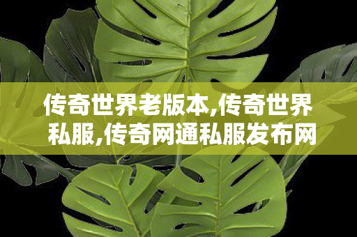 传奇世界老版本,传奇世界 私服,传奇网通私服发布网,传奇世界 私服